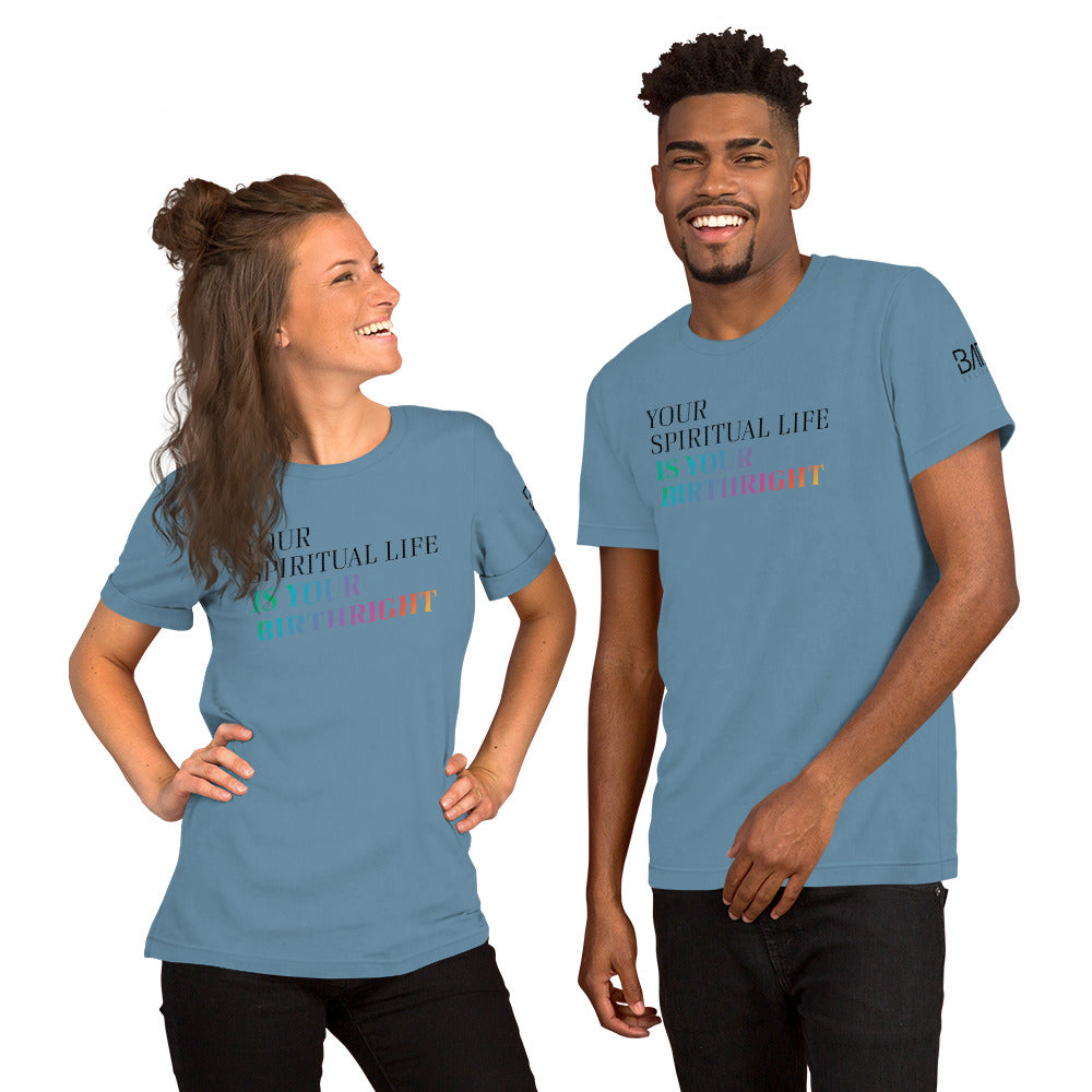"Your Spiritual Life is Your Birthright" Unisex T-Shirt (Black Print)