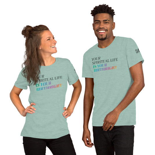 "Your Spiritual Life is Your Birthright" Unisex T-Shirt (Black Print)